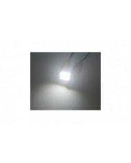 FEMEX Premium 4014 Chipset 21smd Sofit Led Ampul 36mm